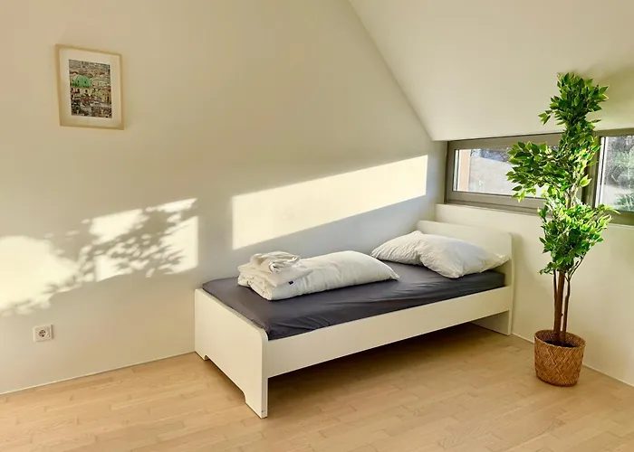 Modern With Free Parking Apartament